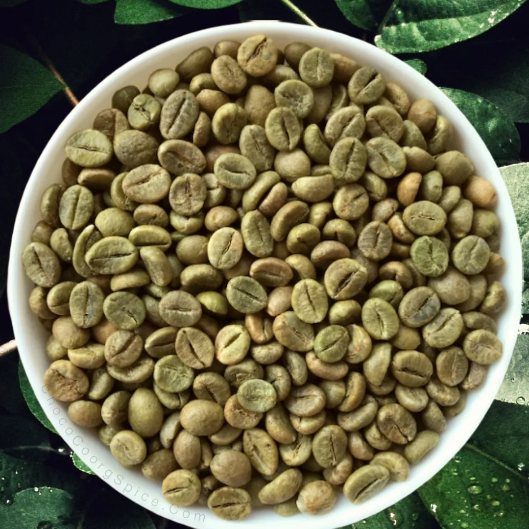 639197933678686112_robusta-cherry-aaa-green-coffee-beans-coorg-coffee.20240927114155.webp