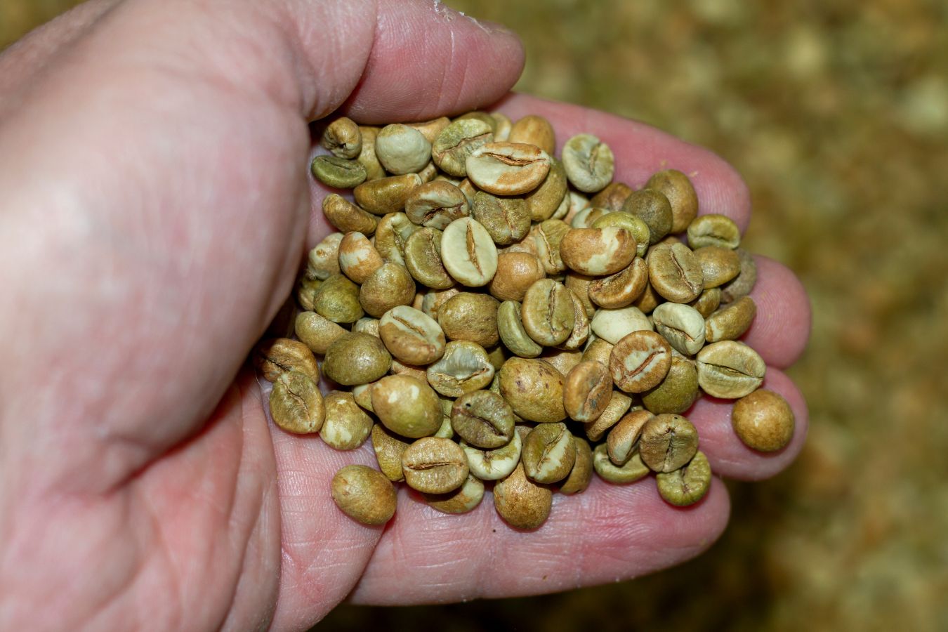 639197933678944535_Vietnamese-Green-Coffee-Beans-3.jpg